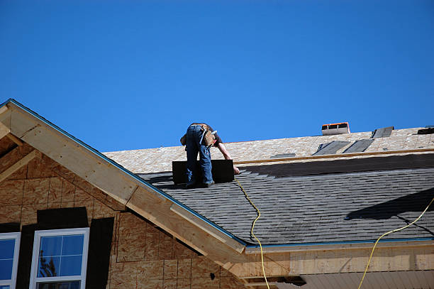 Best Roof Gutter Cleaning  in Seneca, MO